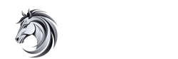 AGMA Energy Drink